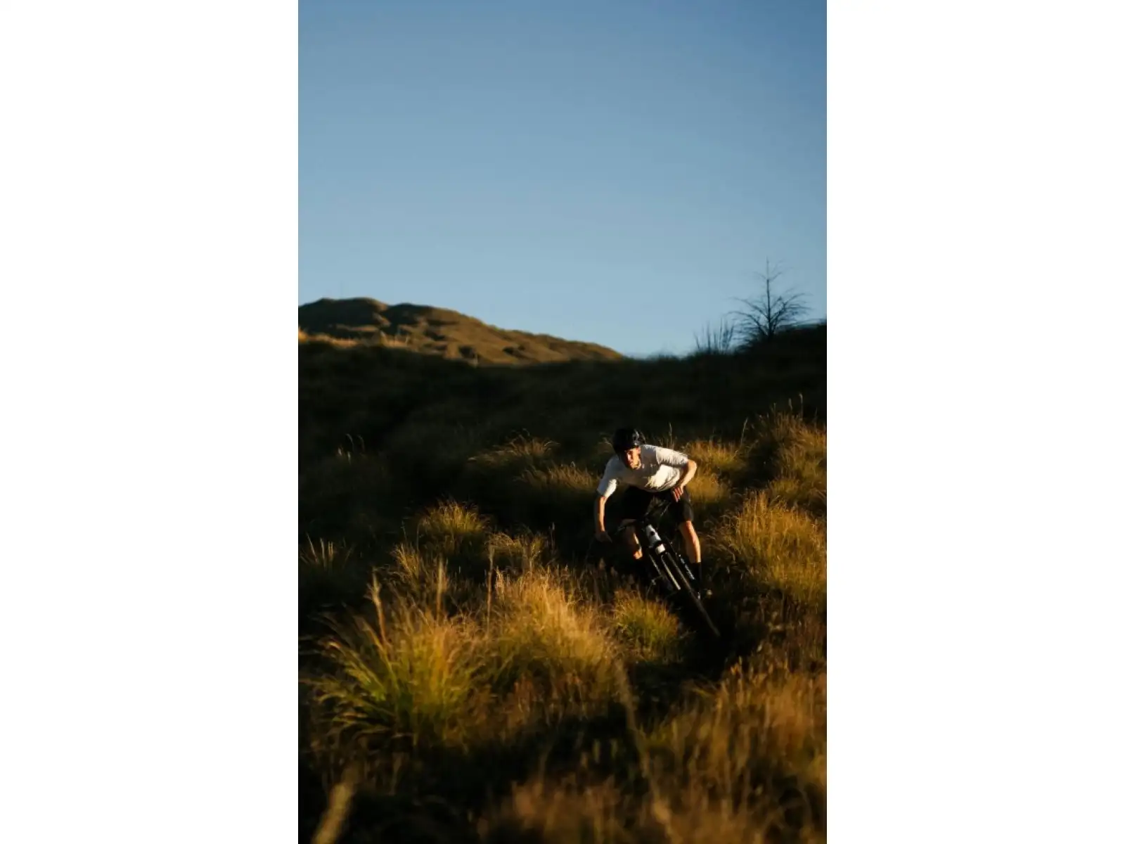 Santa Cruz Tallboy 5 C R horské kolo Gloss White