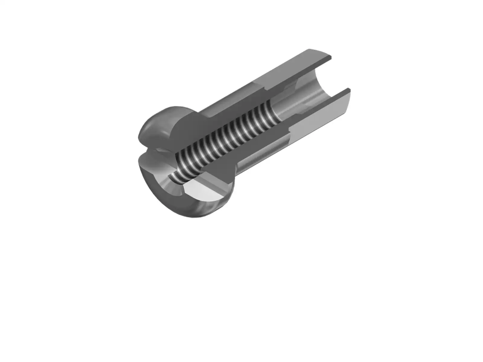 DT Swiss Pro Lock Alu nipl 2,0x12 mm černý