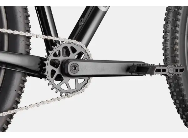 Cannondale Trail 2 29" horské kolo Black
