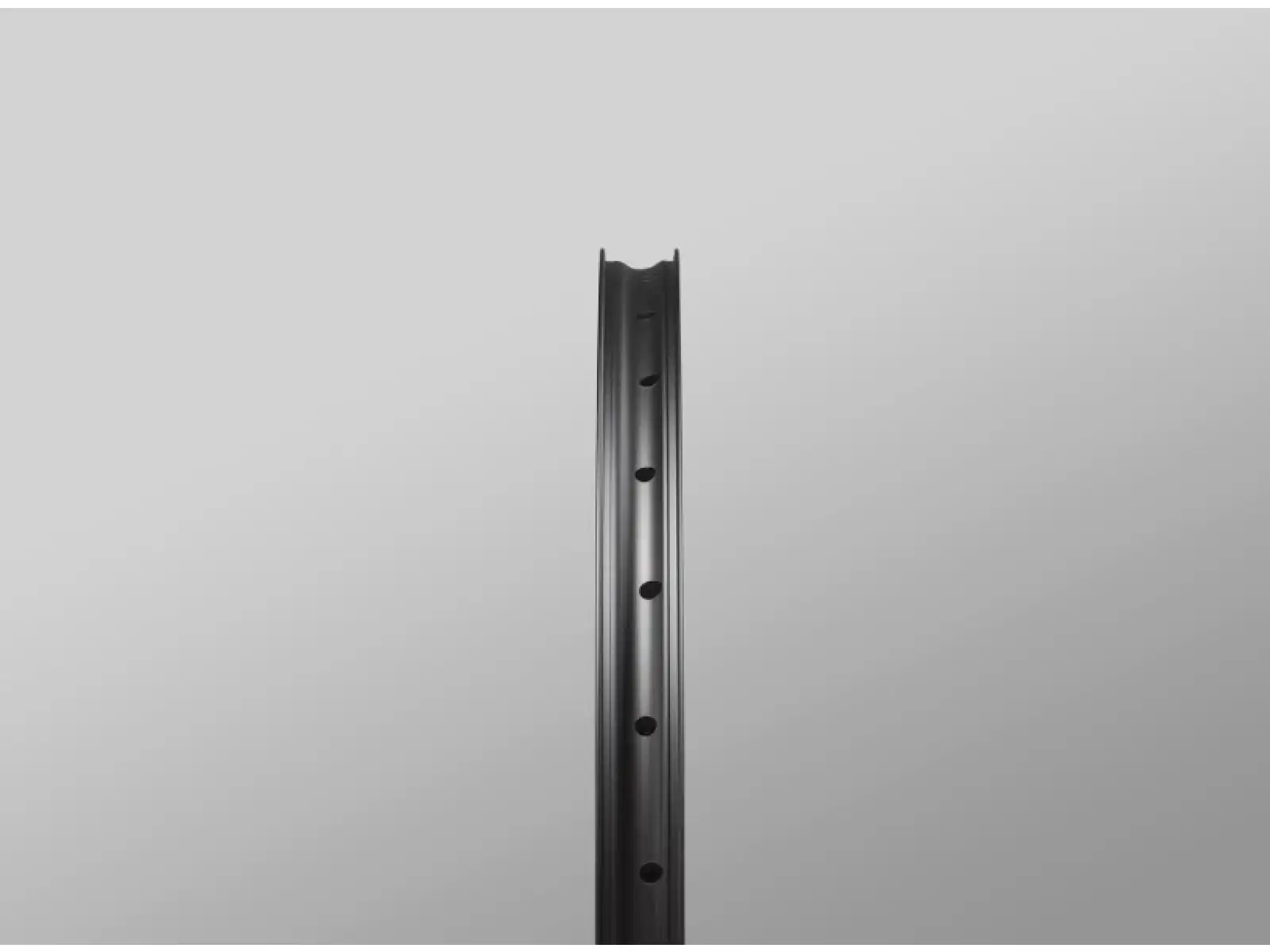Reserve 30/SL AL6069 DT 350 29" vypletená kola ořech Microspline
