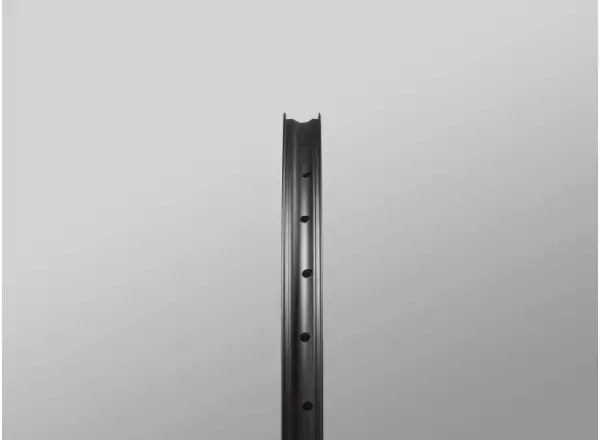 Reserve 30/SL AL6069 DT 350 29" vypletená kola ořech Microspline