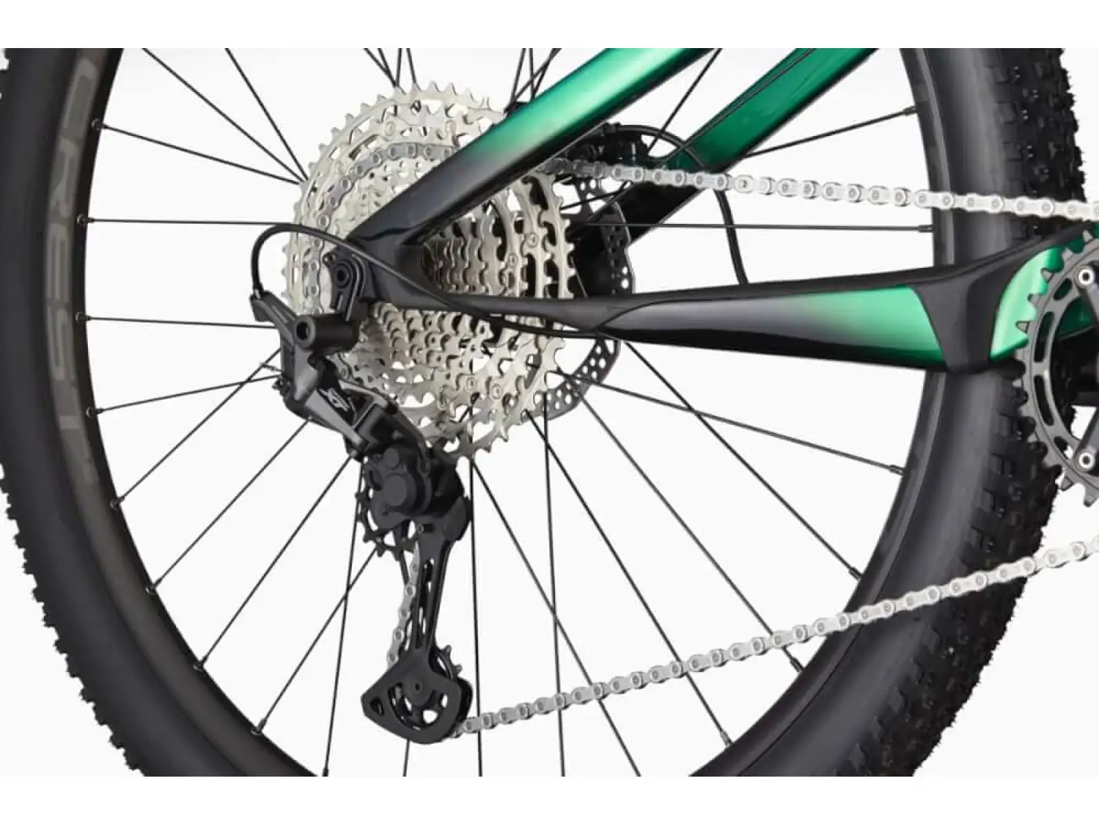 Cannondale Scalpel Carbon 4 horské kolo Jungle Green