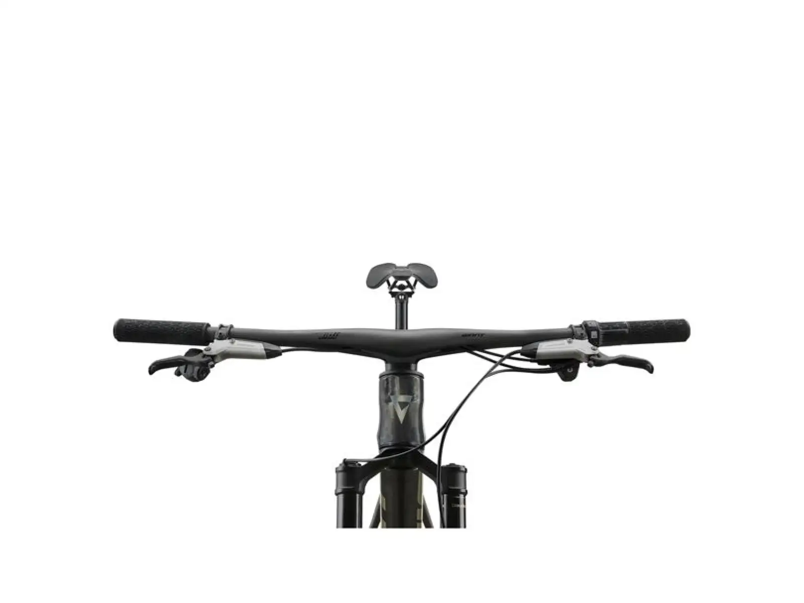 Giant Anthem Advanced 0 horské celoodpružené kolo Raw Carbon