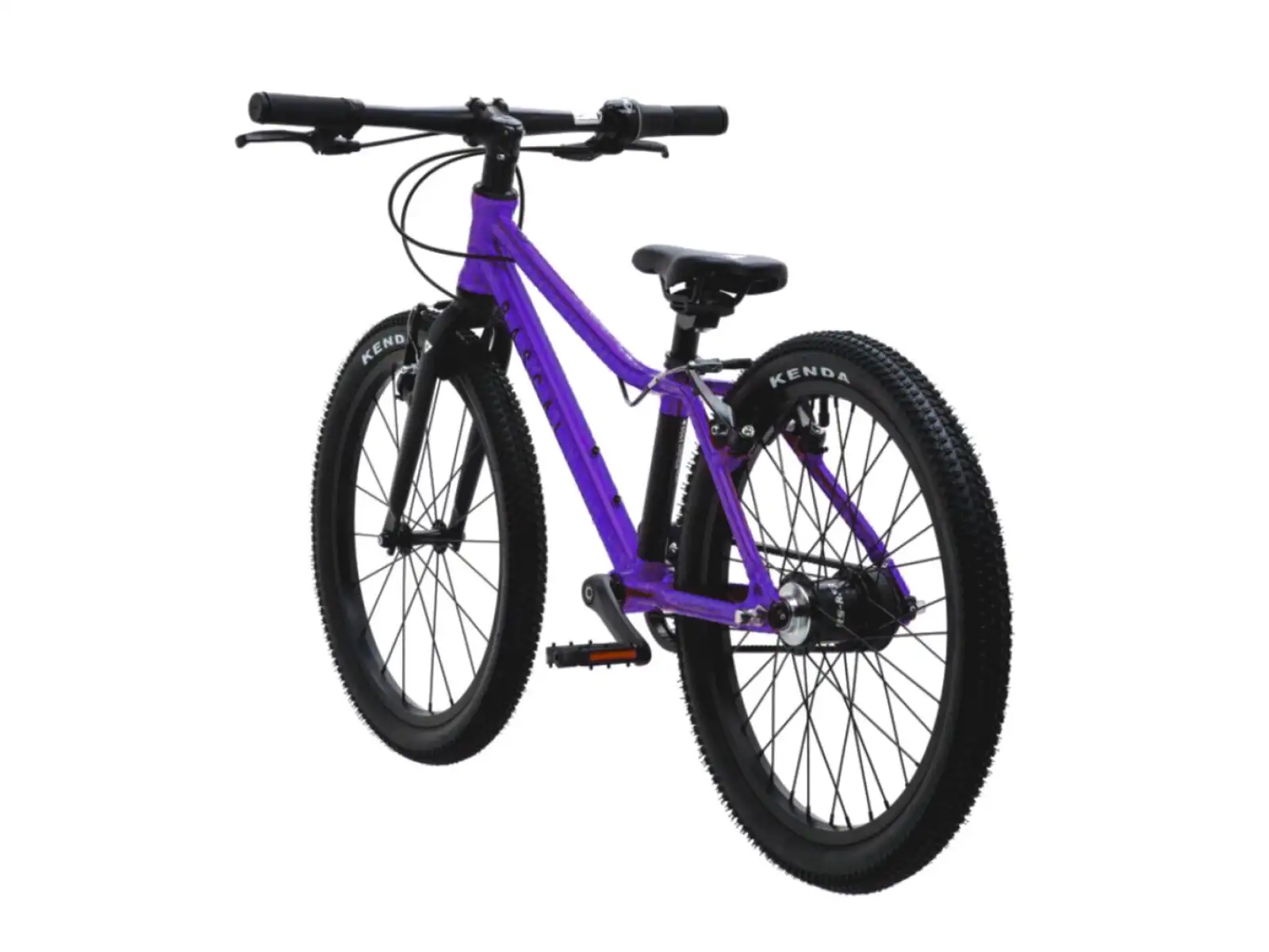 Rascal 20 dětské kolo Amethyst Limited