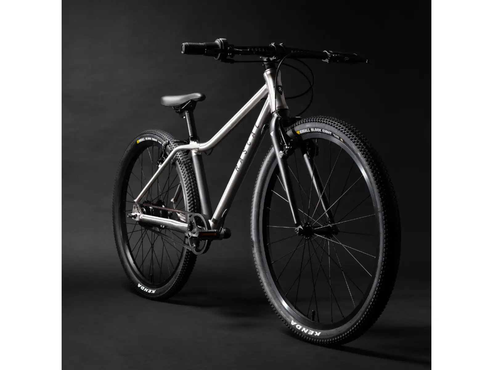 Rascal 24 7 sp. Shimano Nexus dětské kolo Titanium