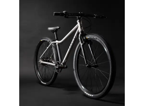 Rascal 24 7 sp. Shimano Nexus dětské kolo Titanium