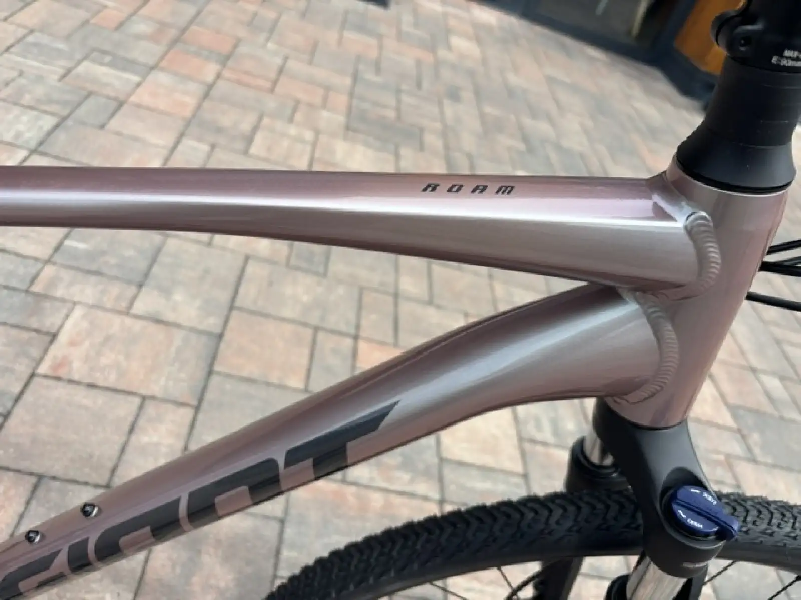 Giant Roam 3 trekingové kolo Shell White