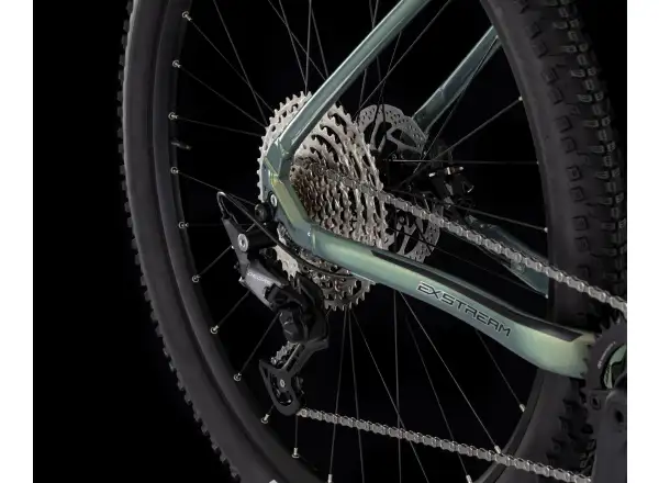 4EVER Exstream Team 820 horské elektrokolo Snake green/hologram