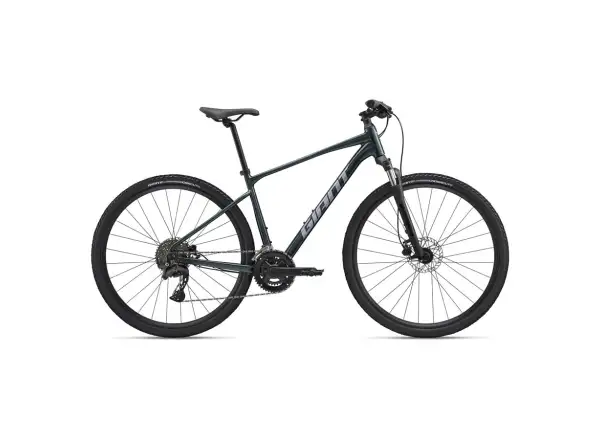 Giant Roam 2 trekingové kolo Asphalt Green