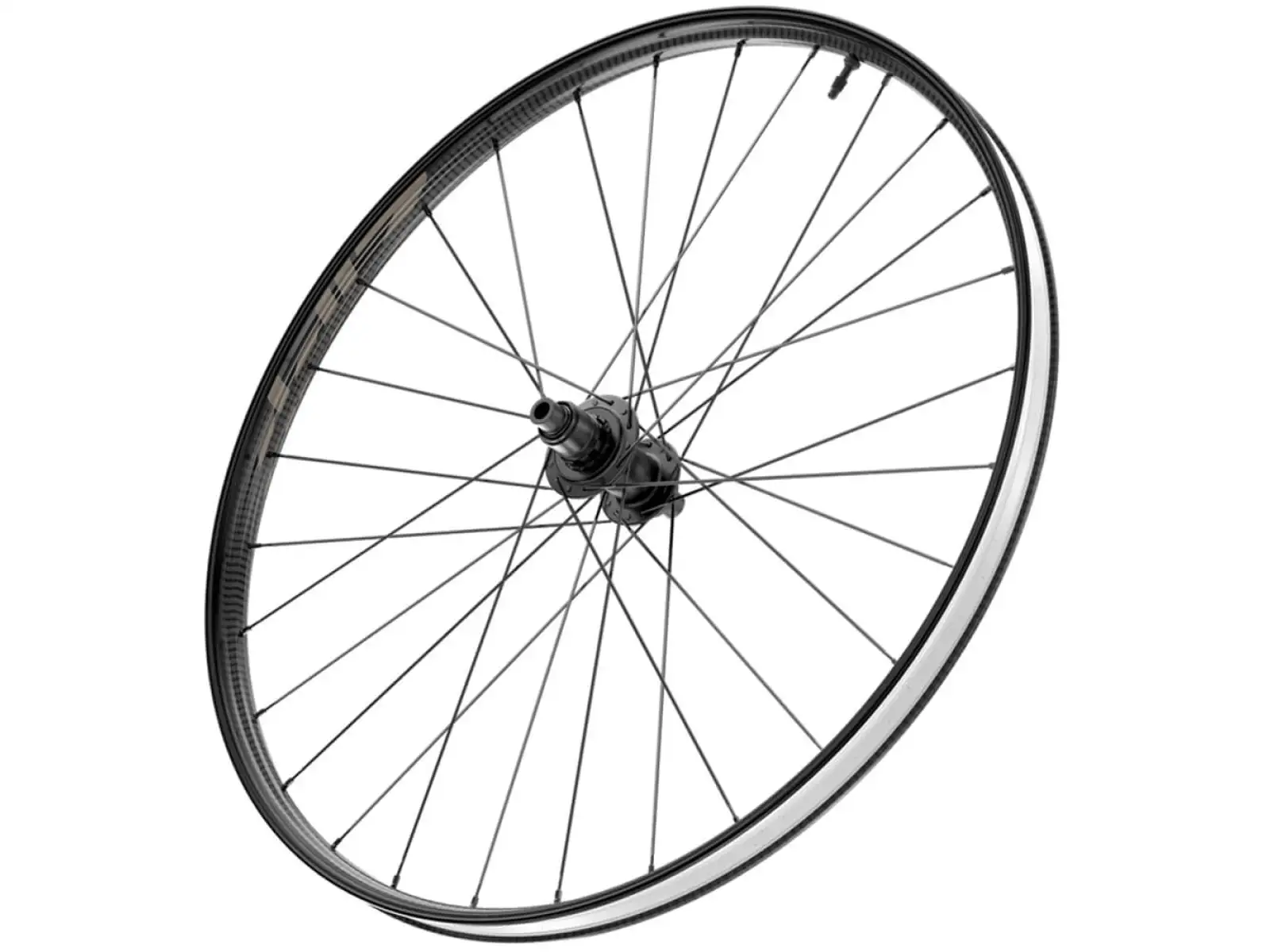 Zipp 101 XPLR Carbon Disc TL CL 12x142 mm zadní kolo Kwiqsand