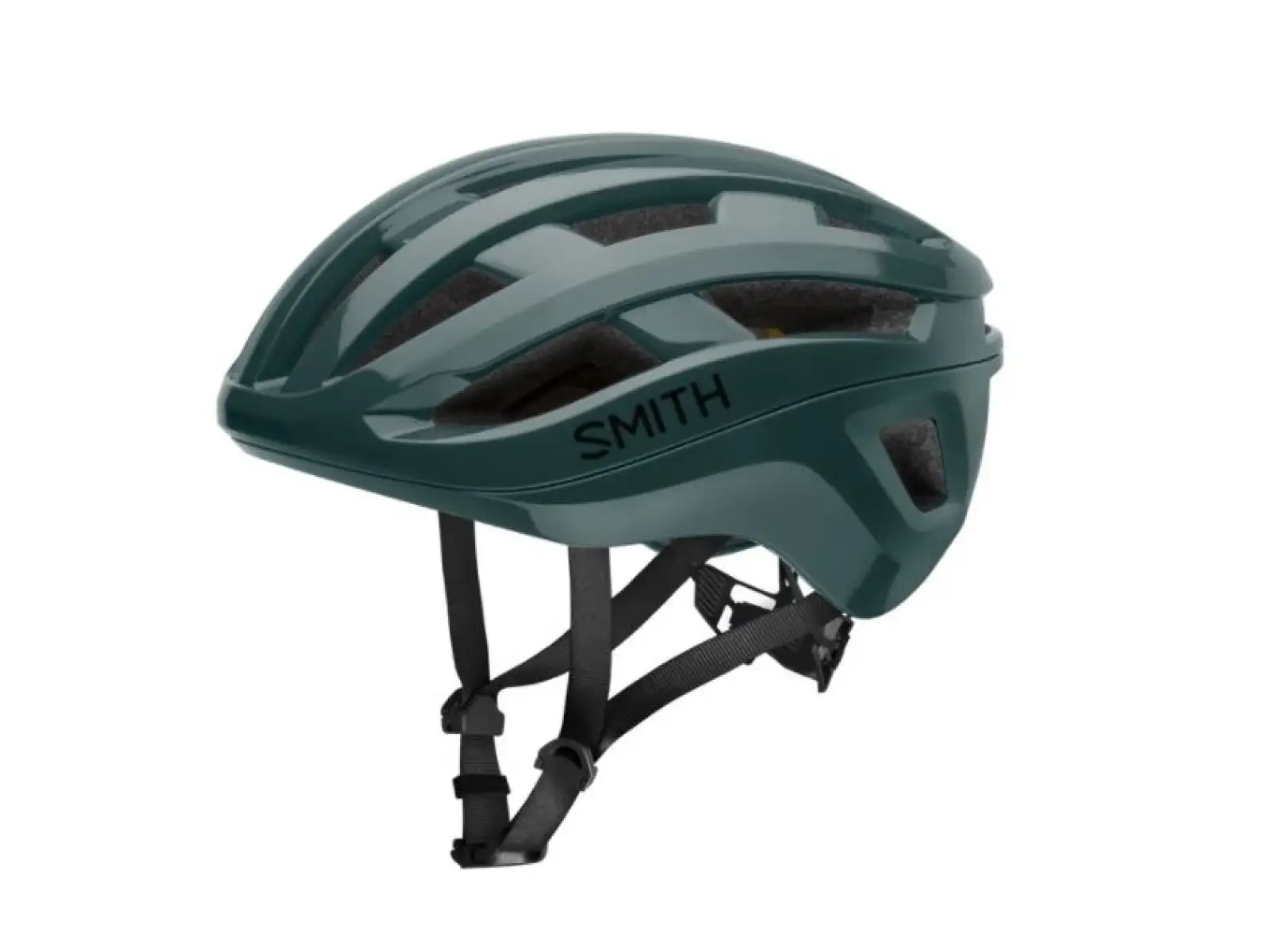 Smith Persist Mips přilba Spruce
