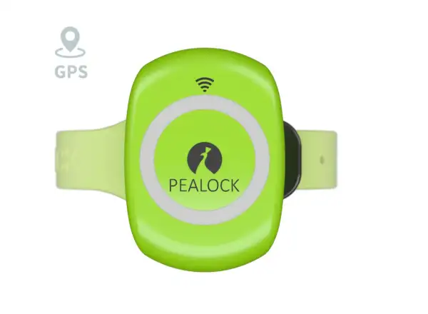 Pealock 2 elektronický zámek zelená