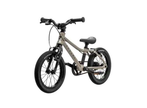 Rascal 14 dětské kolo Titanium