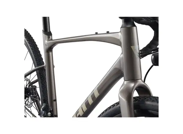Giant Revolt 1 gravel kolo Metal