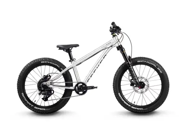 Early Rider Seeker X20 dětské kolo Brushed Aluminium 2025