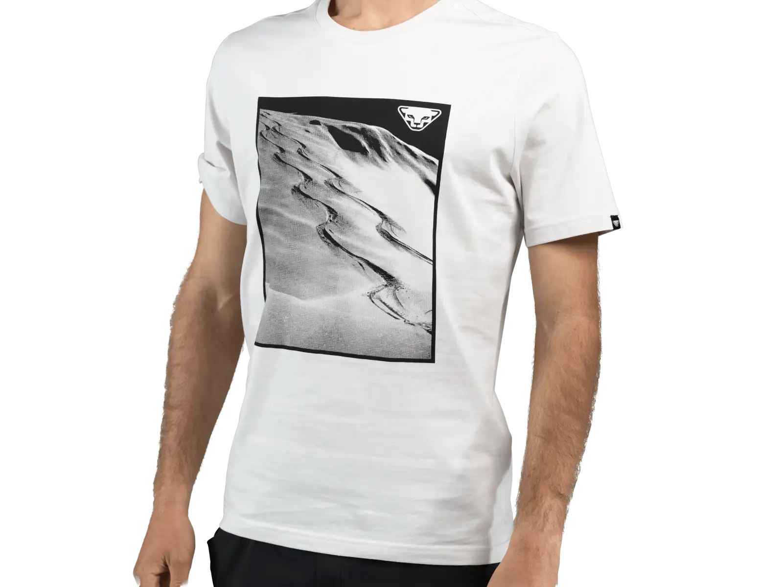 Dynafit Graphic Cotton pánské triko krátký rukáv Nimbus/First Track