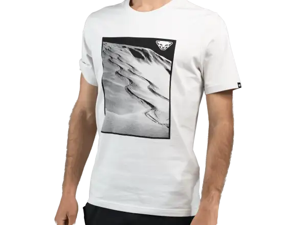 Dynafit Graphic Cotton pánské triko krátký rukáv Nimbus/First Track