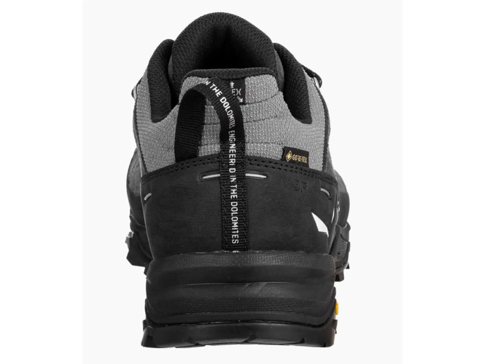 Salewa Alp Trainer 2 Gore-Tex pánské boty Onyx Black