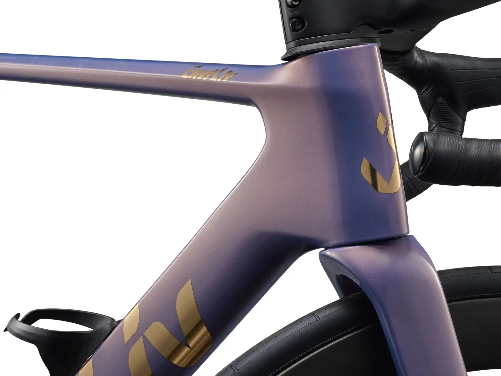 Liv EnviLiv Advanced Pro 0-Di2 silniční kolo Ember Violet