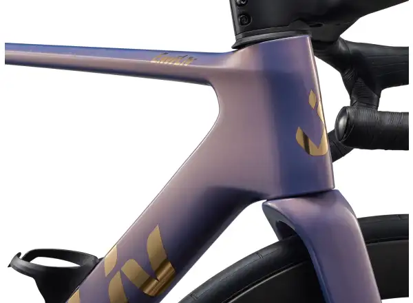 Liv EnviLiv Advanced Pro 0-Di2 silniční kolo Ember Violet