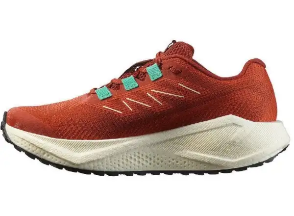 Salomon Aero Blaze 3 GRVL W dámské běžecké boty Burnt Ochre/Vanilla Ice/Vanilla Ice