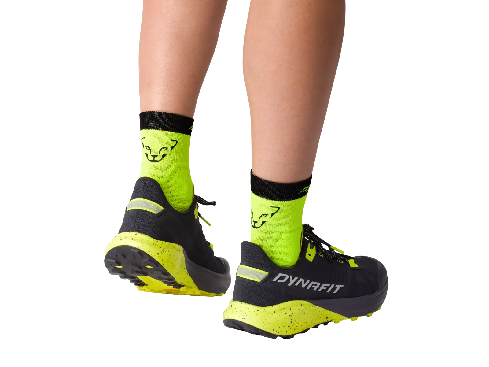 Dynafit Alpine Short krátké běžecké ponožky Storm Blue