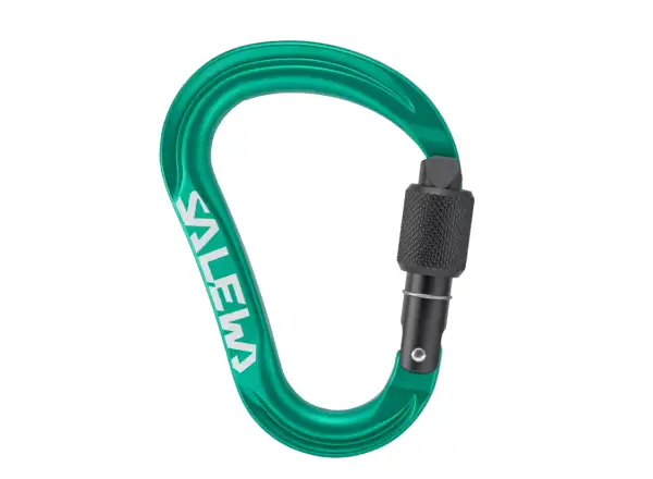Salewa Ortles HMS Screw karabina M Irish Green
