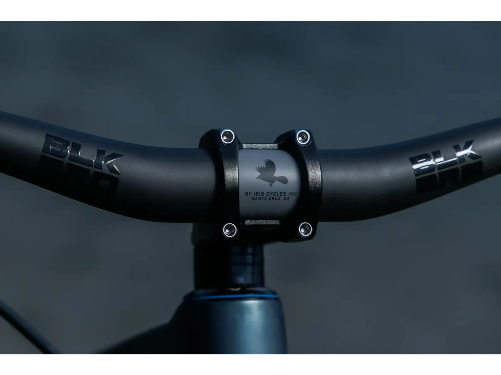 Ibis Ripley V5 XT Di2 horské kolo Blue Hour