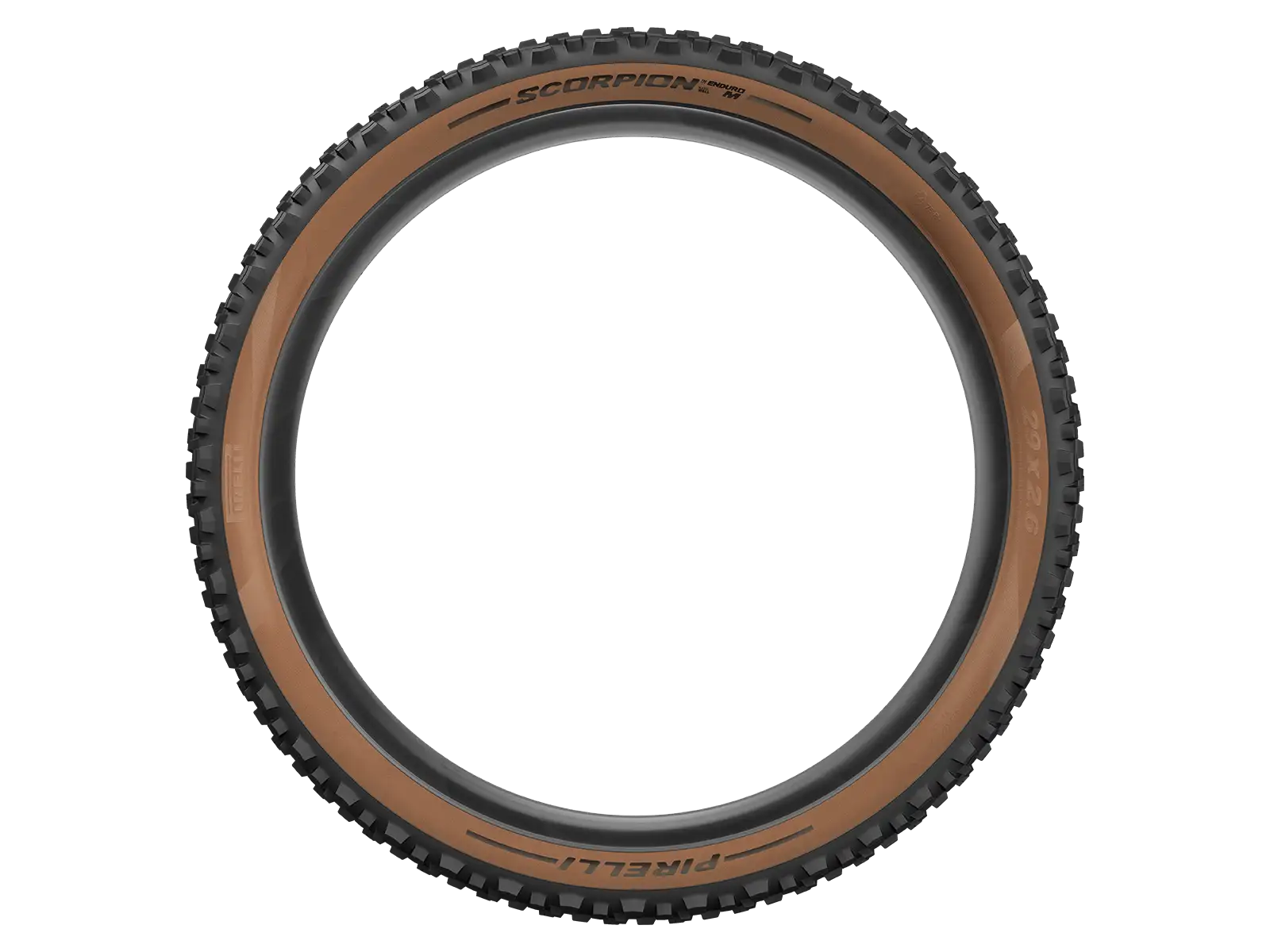 Pirelli Scorpion Enduro M Hardwall 29x2,60" plášť kevlar turchese