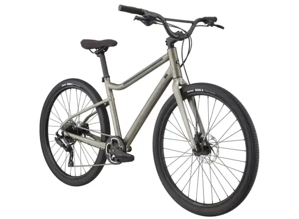 Cannondale Treadwell 2 Ltd fitness kolo Raw