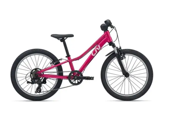 Giant Tempt 20 dětské horské kolo Virtual Pink