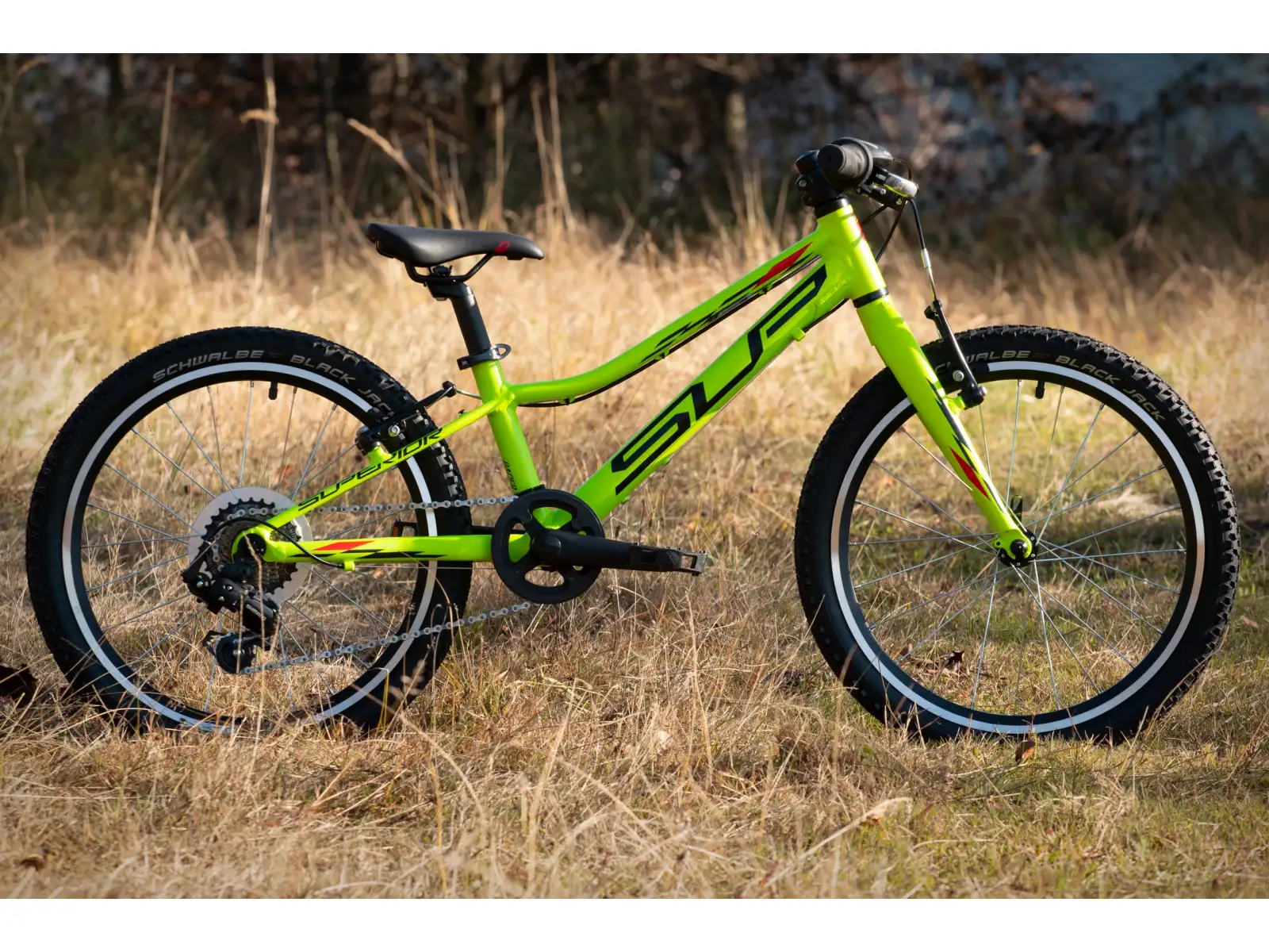 Superior Racer XC 20 Matte Lime/Black/Red dětské horské kolo