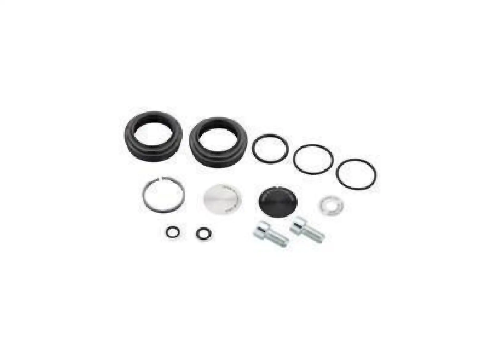 Rock Shox Service Kit pro vidlice Paragon Silver Coil A1