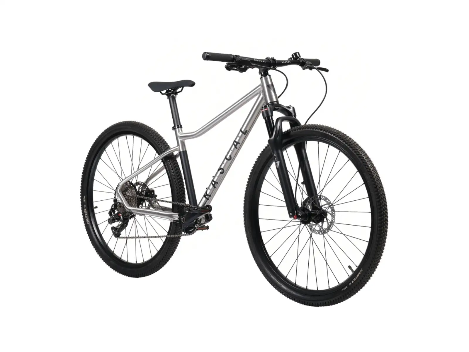 Rascal Wild 29 Limited dětské kolo Silver