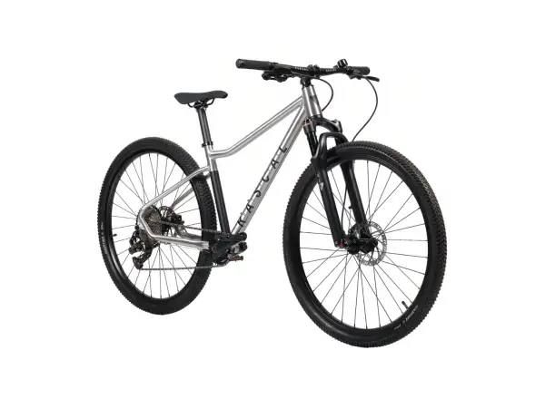 Rascal Wild 29 Limited dětské kolo Silver