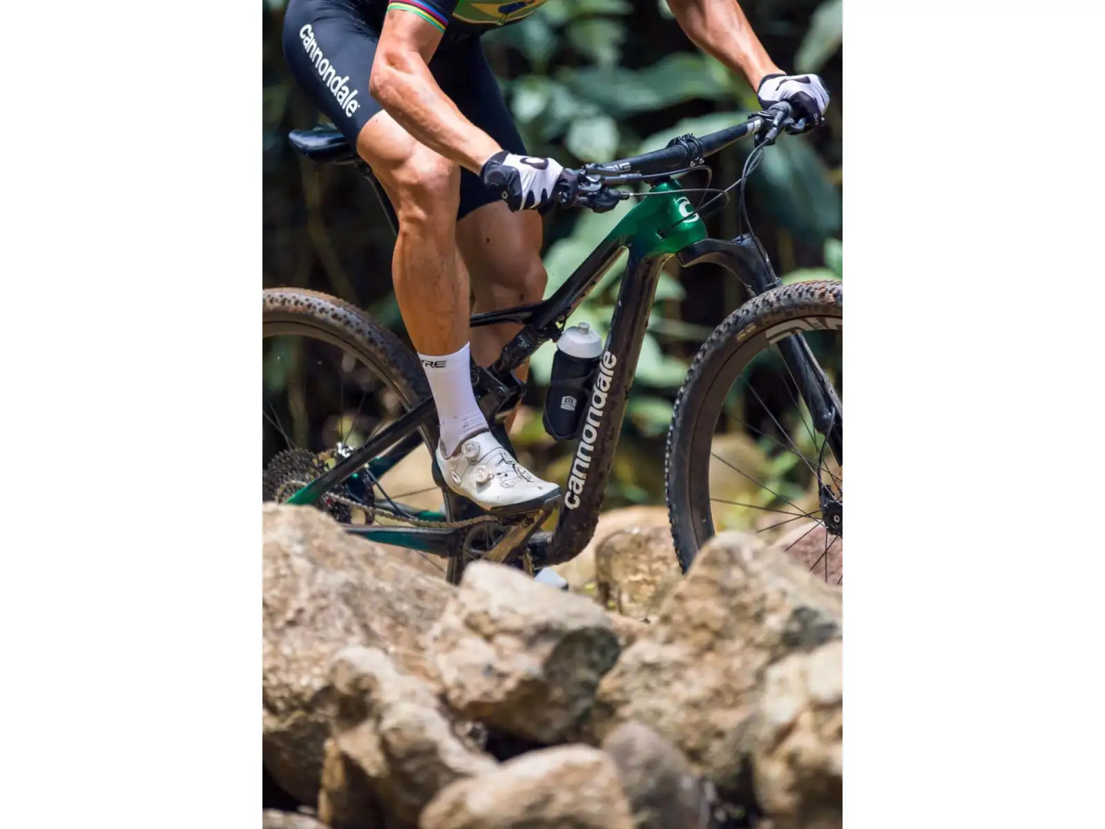 Cannondale Scalpel Carbon 4 horské kolo Jungle Green