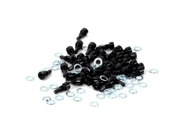 Race Face Spare Pin Set Aeffect R 40ks náhradní piny