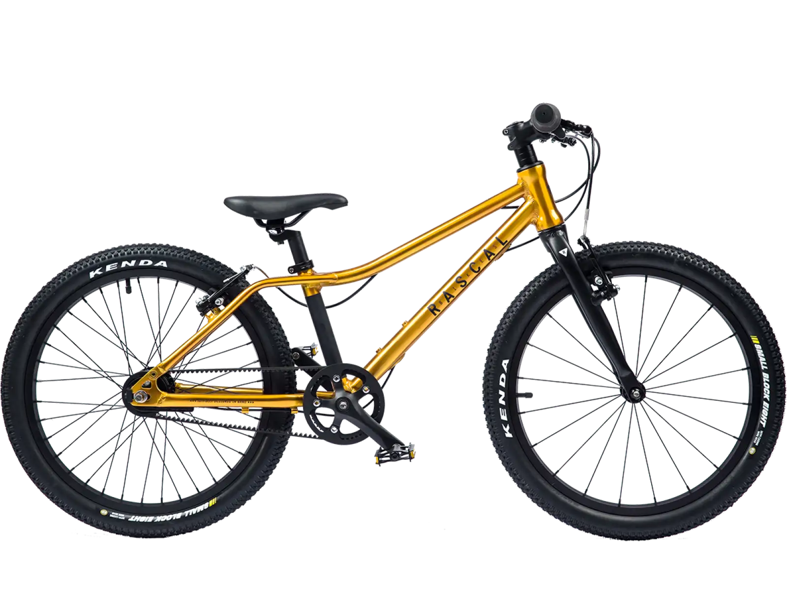 Rascal 20 dětské kolo Gold