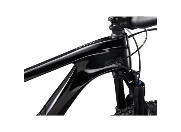 Giant Trance Advanced Pro 29 1 horské kolo carbon/black diamond