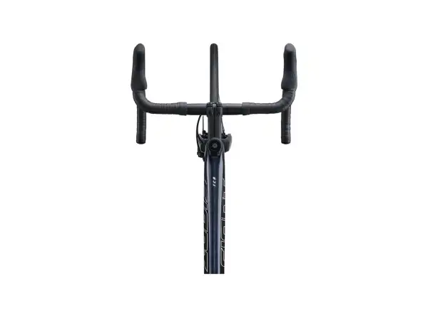 Giant TCR Advanced 1+ Disc-PC silniční kolo cold night