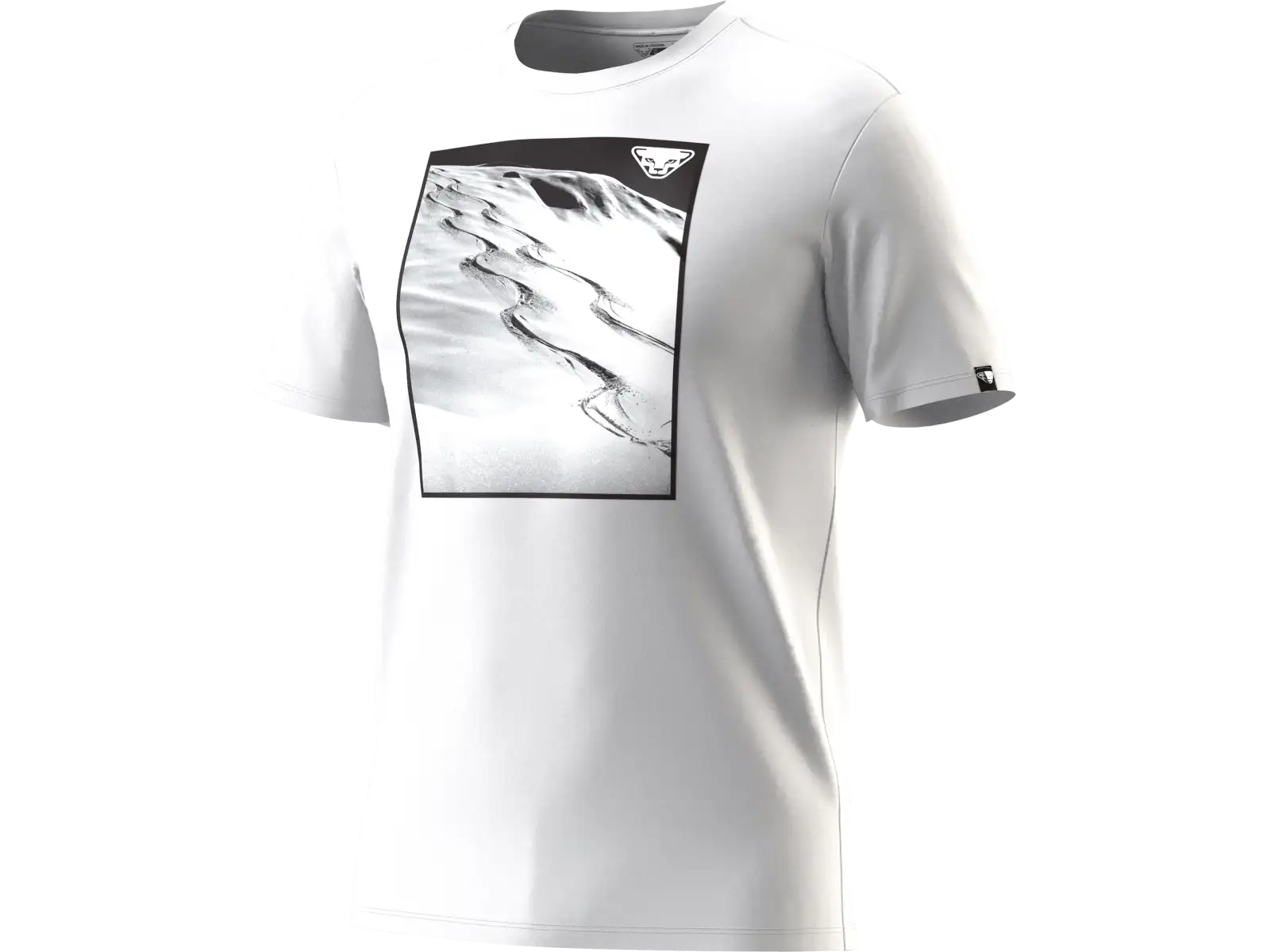 Dynafit Graphic Cotton pánské triko krátký rukáv Smoke Blue/Tabloid