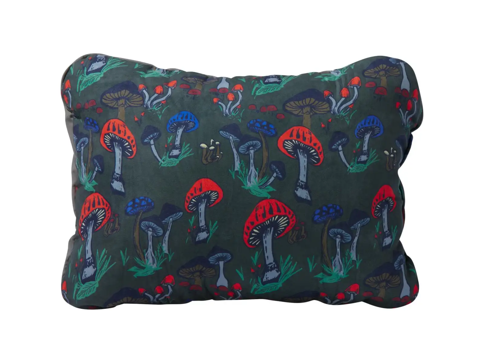 Therm-A-Rest Compress Pillow Cinch Polštářek houby