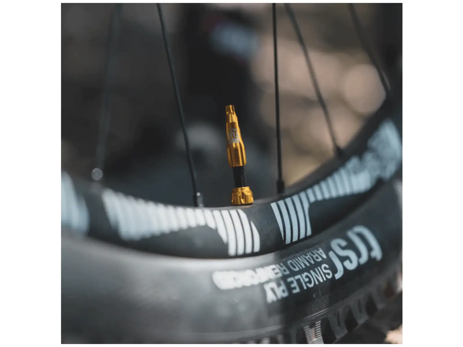 Lezyne CNC TLR Valve bezdušový ventilek 60 mm zlatá