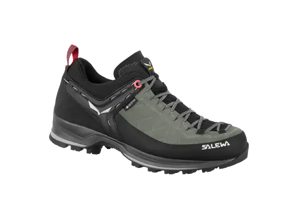 Salewa Mountain Trainer 2 GTX dámské turistické boty Shadow/Black