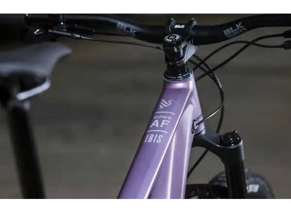 Ibis Ripmo AF Eagle 90 horské kolo Rose