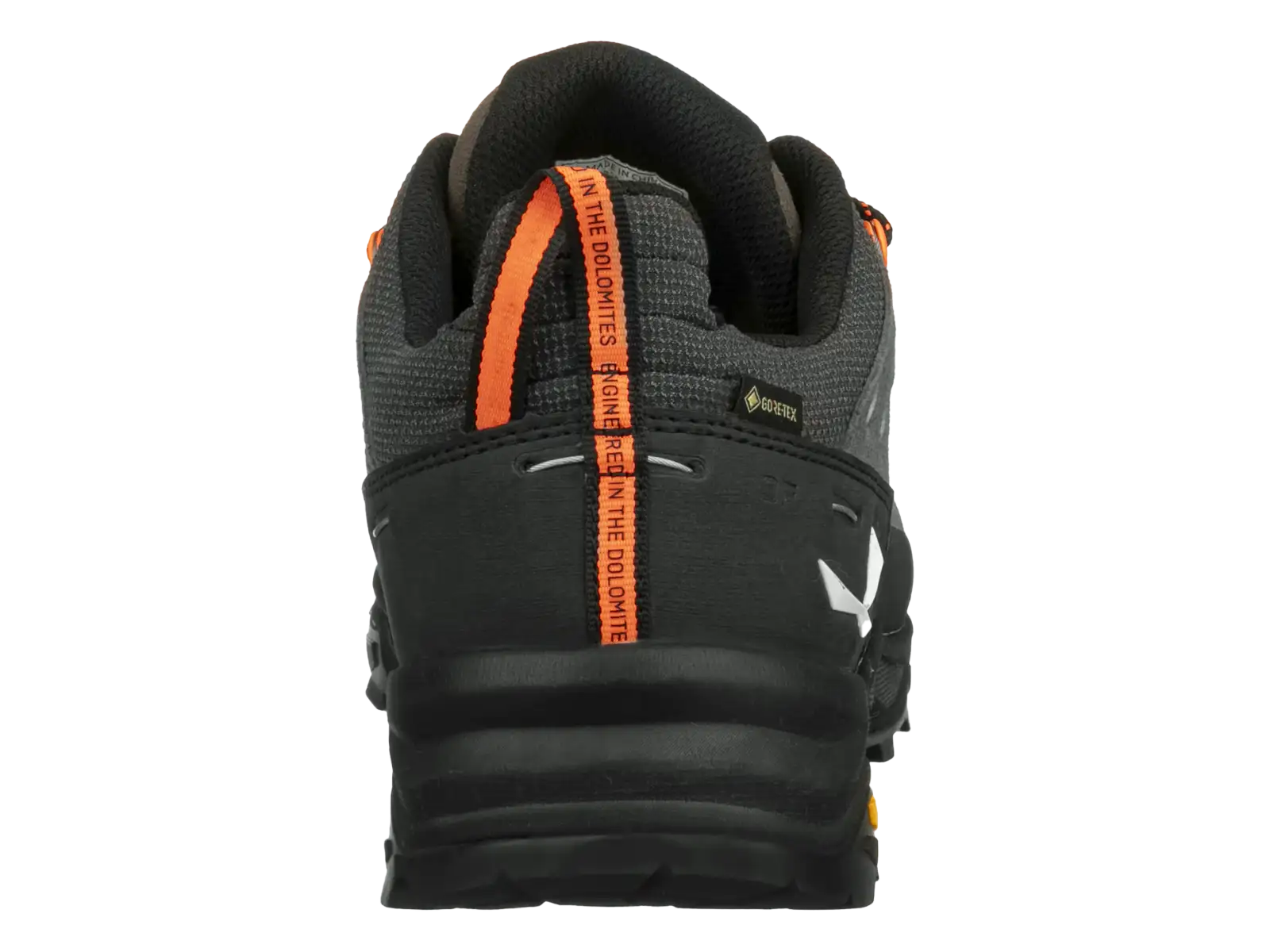 Salewa Alp Trainer 2 GTX pánské boty Bungee Cord/Black