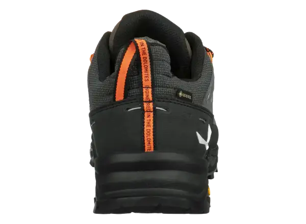 Salewa Alp Trainer 2 GTX pánské boty Bungee Cord/Black