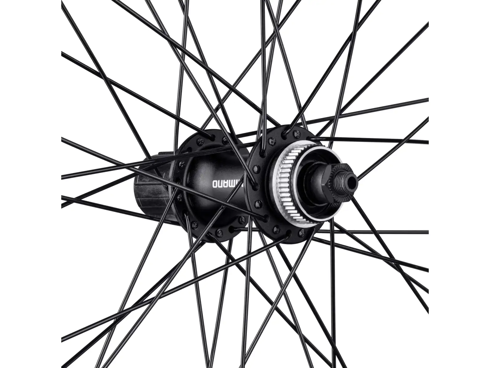 Force XC Disc 26 zadní vypletené kolo FHM3050-CL 36 děr