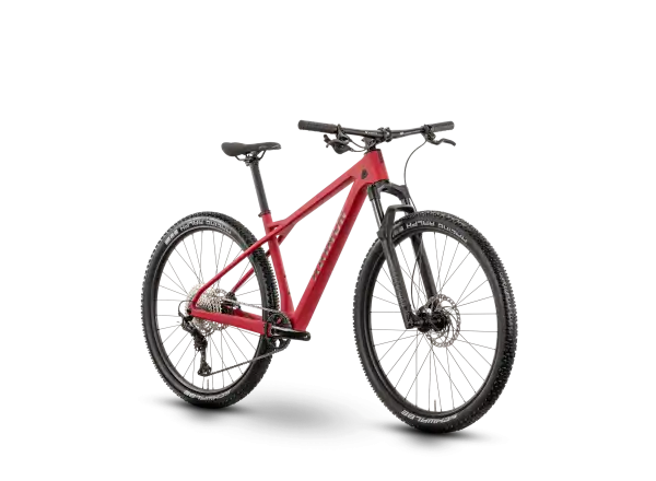 Raymon Arid Pro 29" horské kolo Carmine Red Matt
