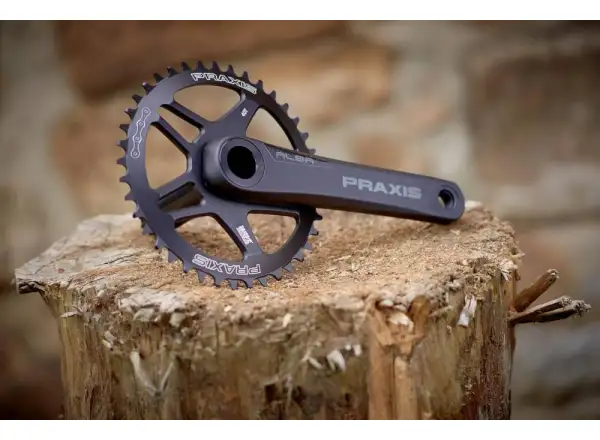 Praxis Works Alba X DM silniční kliky 175 mm 42 zubů